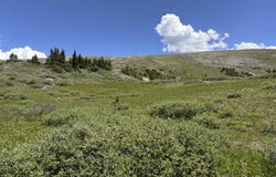 TBD American Flag, Crested Butte, CO 81224
