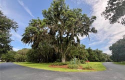 Lot 259 Eagle Way NE, Townsend, GA 31331