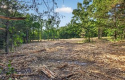 005 Cantrell Road, Mansfield, MO 65704
