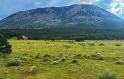 Colorado Land and Grazing lot: 102, Gardner, CO 81040