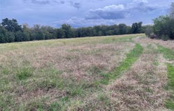 Beardn Lane, Mingus, TX 76453
