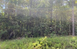 0 Drew Rd & Huskey Rd, Dothan, AL 36303