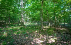 V/L 12A S 168th Avenue, Hesperia, MI 49421