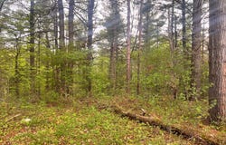 0 LaFlure Lane, Keeseville, NY 12944