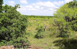 20 Acres St Hwy 148 S, Henrietta, TX 76365
