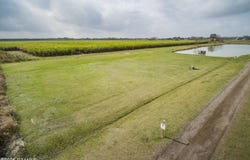 11601 Nola Street, Maurice, LA 70555