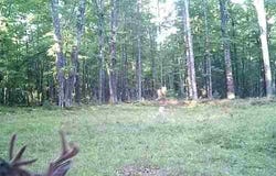 Lot 4 Off Highway 77, Hayward, WI 54843