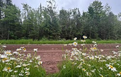 5 Ac On. WORSECH RD, Catawba, WI 54515