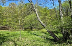 Bull Run Road, Middletown, NY 12455