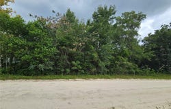 NE 141ST Avenue, WILLISTON, FL 32696
