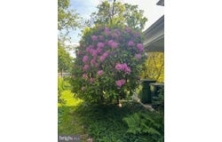 231 MADISON AVENUE, FORT WASHINGTON, PA 19034