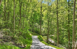 LT 5B Von Trapp Lane unit: 5B, Tuckasegee, NC 28783