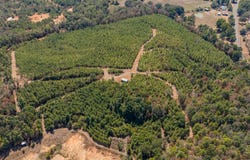 FM 250, Hughes Springs, TX 75656