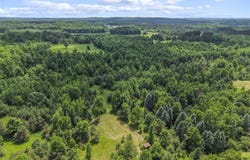 6320 N Morey Road, Lake City, MI 49651