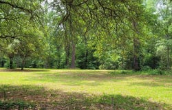 2134 FM 353, San Augustine, TX 75972