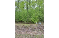 00 Hardwood Circle, Cadillac, MI 49601