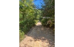 1285 Tbd Halsey Fork, Grassy Creek, KY 41472
