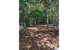 S Dixie Highway lot: Hazelwood Subdivision Lt3, Glendale, KY 42740