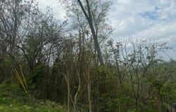 Lot 8 Hickory Pointe Lane, Maynardville, TN 37807