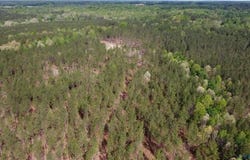 Winningham Rd, Crewe, VA 23930