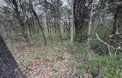 001 Holiday Hills Drive, Cape Fair, MO 65624