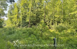 407 Grasslick Rd, Gassaway, WV 26624