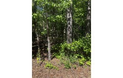 23 Andorra Circle, Hot Springs Village, AR 71909