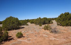 Tract 1A Camino del Sol, NM 87569