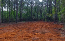 3.34+/- (Lot 3 A) E Dogwood Trail, Coffee Springs, AL 36318