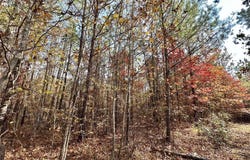 7 County Road 3122, McCool, MS 39108