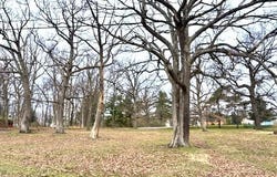 ARMSTRONG AVENUE, FROSTBURG, MD 21532