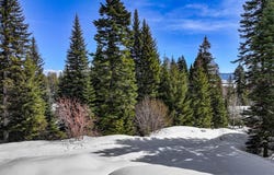 100 Canoe Court, Donnelly, ID 83615