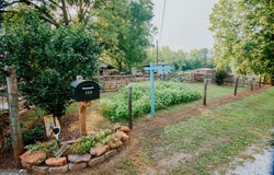 260 Fabiano, Franklin, GA 30217