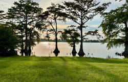 130 Botany Bay Road, Saint Joseph, LA 71366
