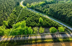 3.32+/- Acres County Road 515, New Brockton, AL 36323