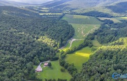 210 Acres County Road 604, Hollytree, AL 35751