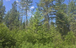 3418 KINGSBURY LAKE WAY, KETTLE FALLS, WA 99141