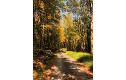 30 Old E Road, Wallkill, NY 12589