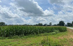 4600 Lafayette Rd, HOPKINSVILLE, KY 42240