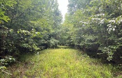 00 Highway 505, Lawrence, MS 39336