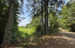 4 County Road 444, Philadelphia, MS 39350