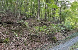 126 Arrowhead Road, Beech Mountain, NC 28604
