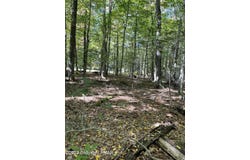 FF33HF Breezewood Drive, Albrightsville, PA 18210
