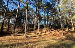 Timber Ridge Drive, Laurel, MS 39443
