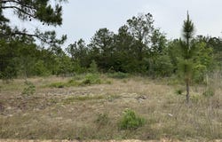 1.25a Baughmanville Road, Wagener, SC 29164