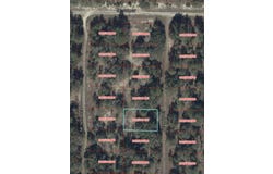 NE 148TH Court, WILLISTON, FL 32696