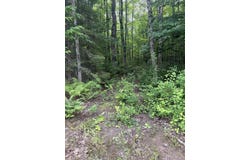 TBD Old US2 Road, Wakefield, MI 49968