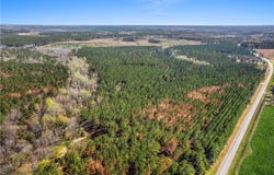 0 Hamburg State Park Road, Warthen, GA 31094