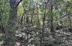 001-04468-000 CR 606, Mountain Home, AR 72653