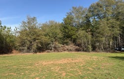 003 GA Highway 45, Plains, GA 31780